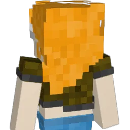 BB337 Minecraft avatar bust