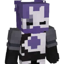 BDubsOrSmt Minecraft avatar bust
