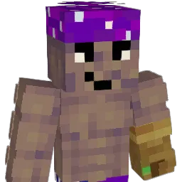 BEASTxVIPxSKILLZ Minecraft avatar bust