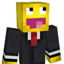BGR2010 Minecraft avatar bust
