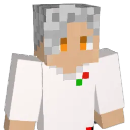 BG_AUDI Minecraft avatar bust
