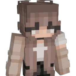 BIGDONG6942073 Minecraft avatar bust