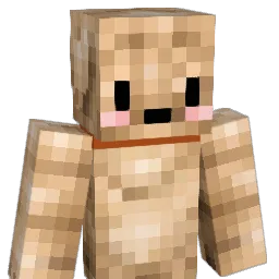 BIRDDOG7897 Minecraft avatar bust