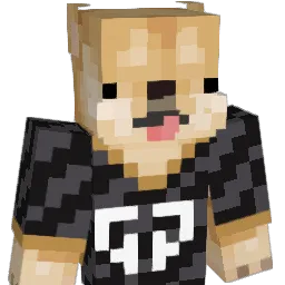 BJ_Pio Minecraft avatar bust