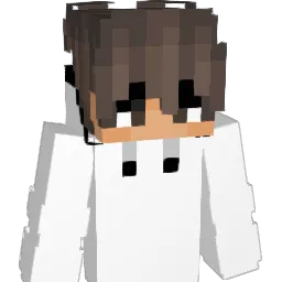 BLAZE_1712 Minecraft avatar bust