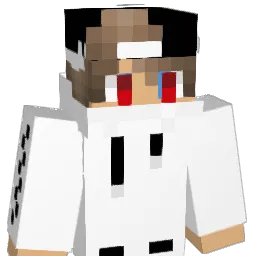 BLT_Tim Minecraft avatar bust
