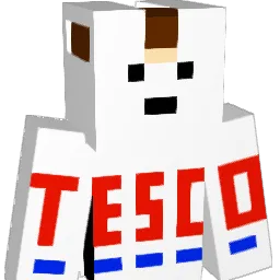 BOBCHICKENJEFFR Minecraft avatar bust