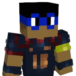 BORDINHOM336 Minecraft avatar bust