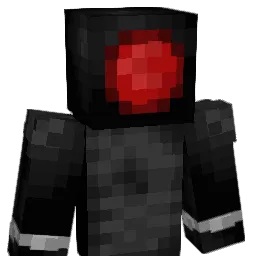 BRA_N Minecraft avatar bust