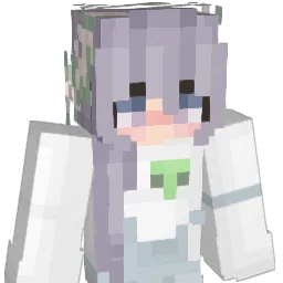 BRON6666 Minecraft avatar bust