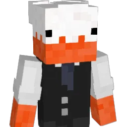 BRUH_WTH Minecraft avatar bust