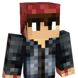 BRstoppy5 Minecraft avatar bust