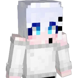 BS316 Minecraft avatar bust
