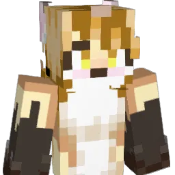 BSP595's Minecraft skin