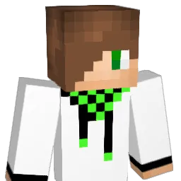 BURGERMAN223 Minecraft avatar bust