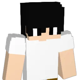 BUS_80's Minecraft skin