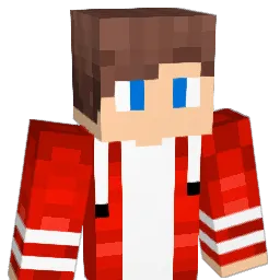 BVWcraft Minecraft avatar bust