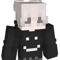 BWHJ's Minecraft skin