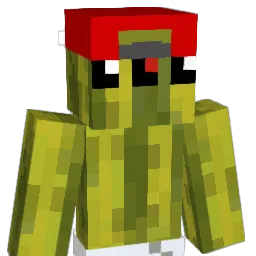 B_Brothers Minecraft avatar bust