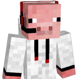 B_H_04 Minecraft avatar bust