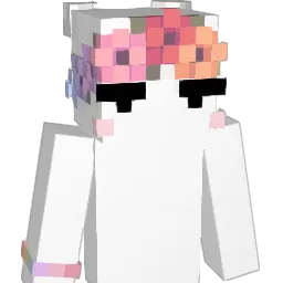 B_NOTE Minecraft avatar bust