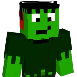 BaDk23 Minecraft avatar bust