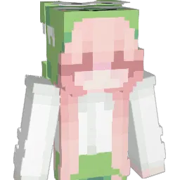 Baahbs Minecraft avatar bust