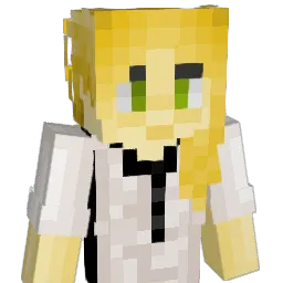 Baccaking206 Minecraft avatar bust