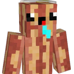 BaconGamezz's Minecraft skin