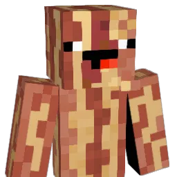 Baconator44's Minecraft skin