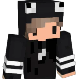 Baer_ Minecraft avatar bust