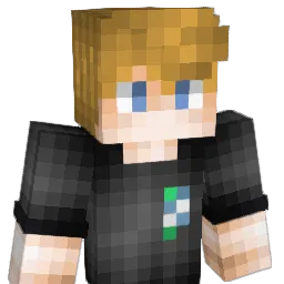 Baerschneider Minecraft avatar bust