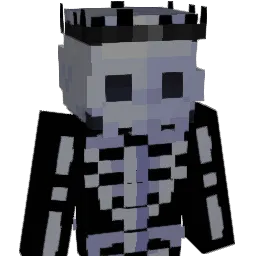 Baindr Minecraft avatar bust