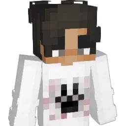 Barackestier2012 Minecraft avatar bust