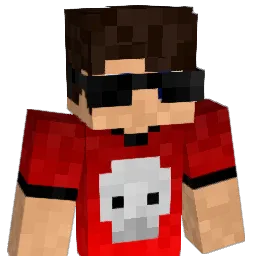Baratatonta_br55 Minecraft avatar bust