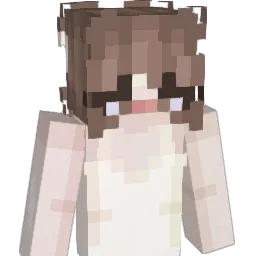 Barbie_bimb0 Minecraft avatar bust