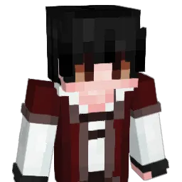 Bardly01 Minecraft avatar bust