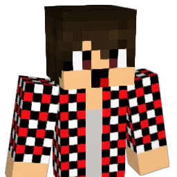 BarmyCZ Minecraft avatar bust