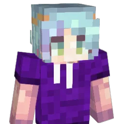 BarnSkinPlug Minecraft avatar bust
