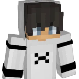 BarniXD Minecraft avatar bust
