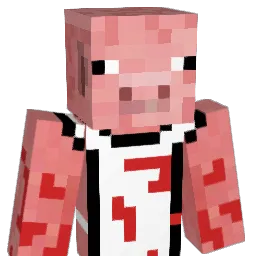 BarryMcKokinner6 Minecraft avatar bust