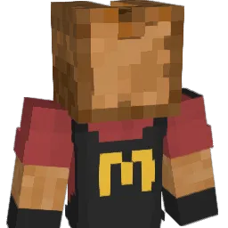 BarryWiiBenson Minecraft avatar bust