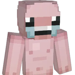 Bartekol1 Minecraft avatar bust