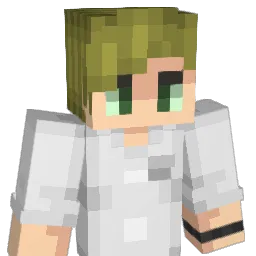 Based_On_WW2 Minecraft avatar bust