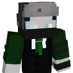 Bastination_2020 Minecraft avatar bust