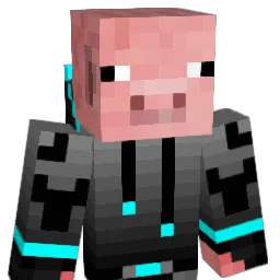 Batdude2's Minecraft skin