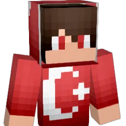 Batuhanky27 Minecraft avatar bust