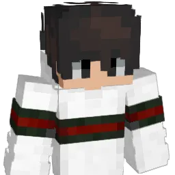 Bau123 Minecraft avatar bust