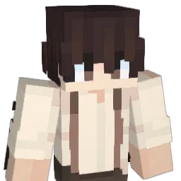 Baumm2008 Minecraft avatar bust