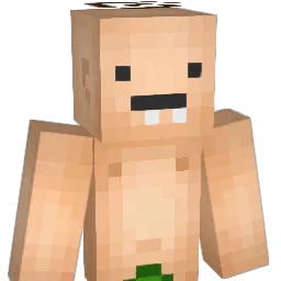 BausQ_ Minecraft avatar bust